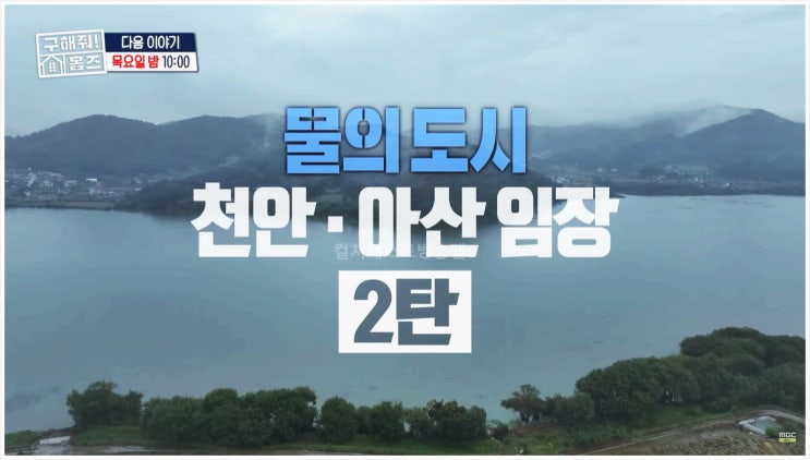  구해줘홈즈 장동민 양세형 임우일 천안 아산 이봉원 신불당 KTX천안아산역 단독 복층주택 외국인전용 평택미군기지 벽난로