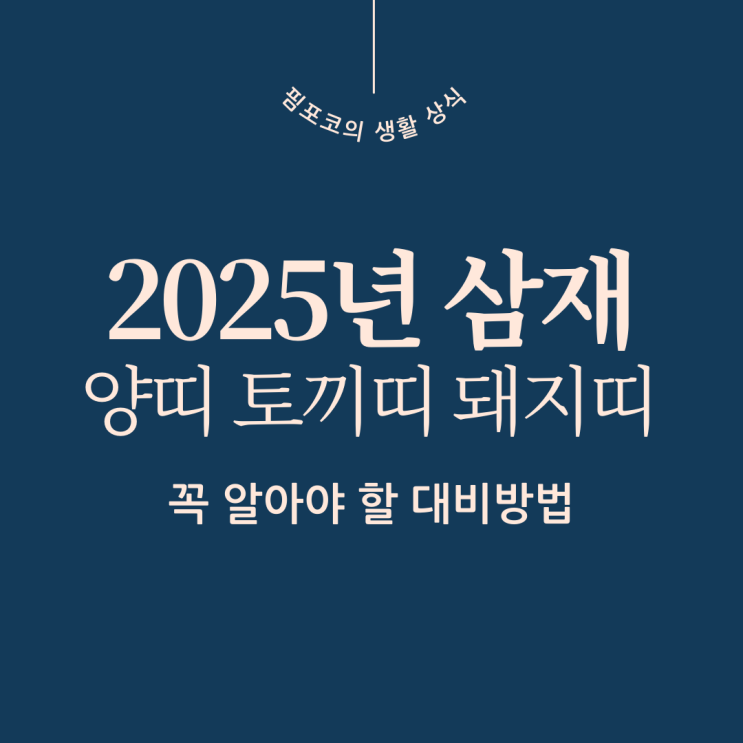  2025년 삼재 돼지, 토끼, 양띠가 꼭 알아야 할 대비방법