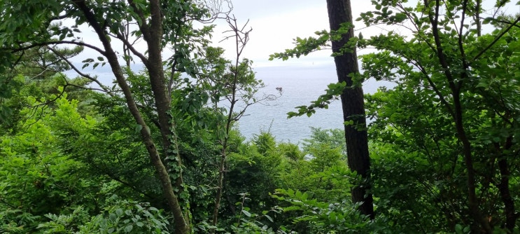  서산시 대산읍 산과 바다를 동시에 서산 9경 일몰명소 몽돌해변 코끼리 바위 황금산