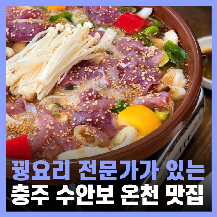  충주 수안보 온천 맛집 꿩요리 전주식당 풀코스 내돈내산