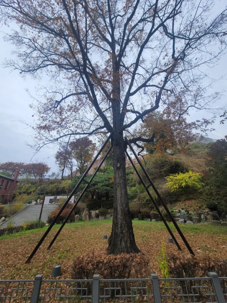  1936년 독일 베를린올림픽 마라톤금메달 손기정 선수 기념공원, 서울 여행 코스 만리동 손기정공원