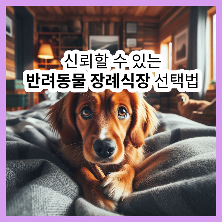  반려견 장례식장, 후회 없는 선택을 위한 체크리스트