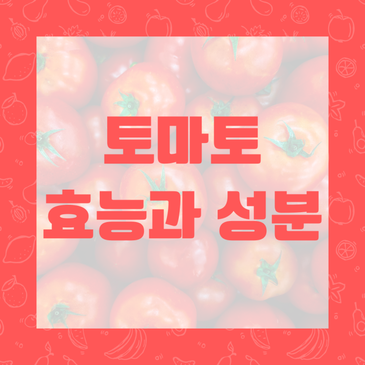  토마토효능과 성분 피부미용에 좋은 이유가 궁금하지않으세요?