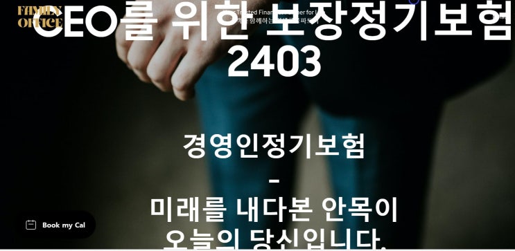  법인ceo를 위한 보장정기보험(경영인정기보험)