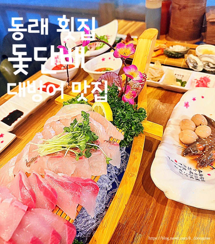  부산 동래 횟집 '돛단배' 대방어 맛집 스페셜코스 대만족 후기