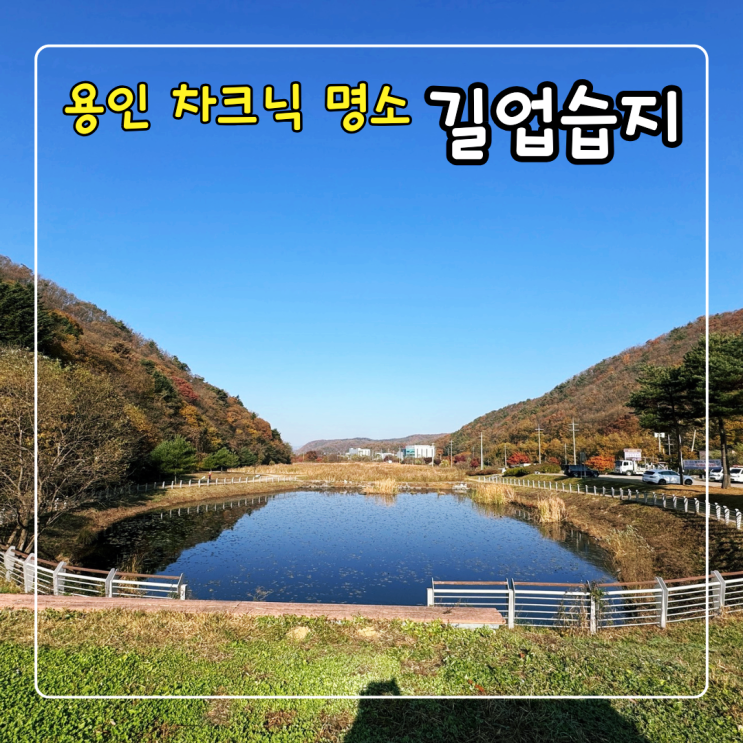  용인 차크닉하기 좋은 침강저류지 길업습지 가을풍경