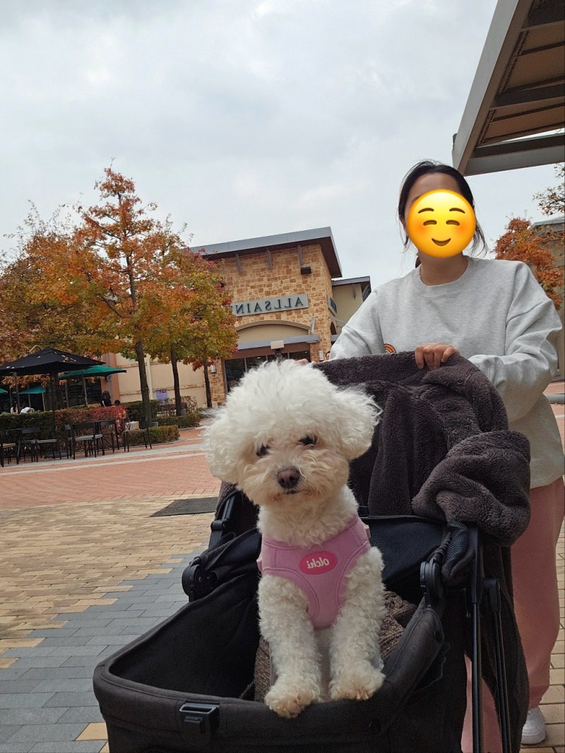 여주 프리미엄 아울렛 반려견 유모차 대여하는 방법 & 반려견과 함께 식당 이용 방법