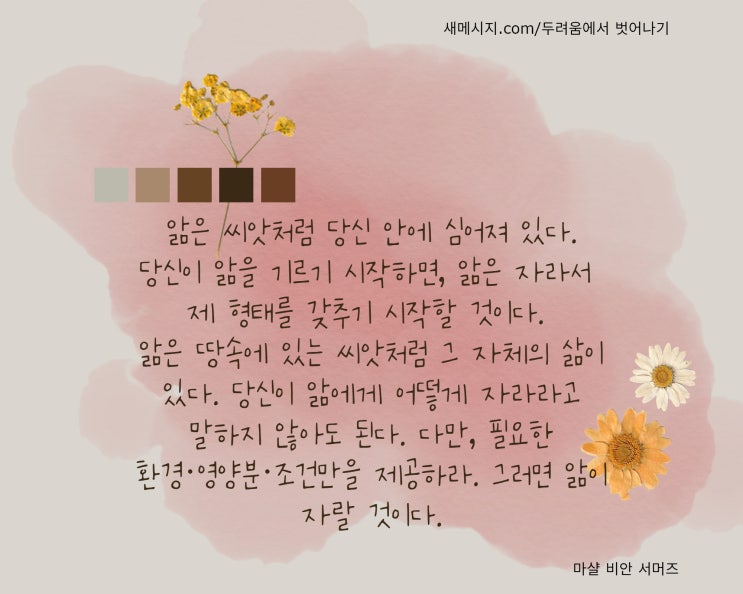 성선?성악?/ 욕망이 아닌 앎을 따르는 사람 성선?성악?/ 욕망이 아닌 앎을 따르는 사람
