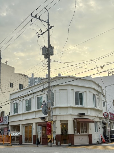 사진 5