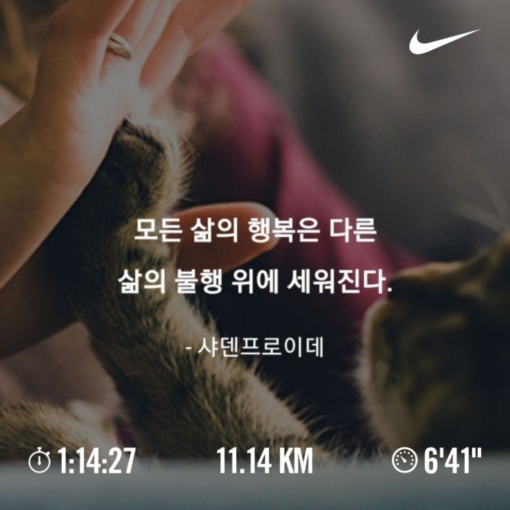 오늘의 [챌린지] 매일 10km 러닝 챌린지 1191일 차