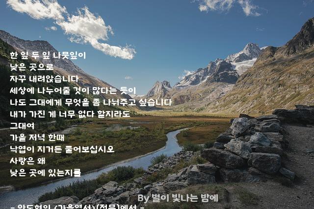 나뭇잎 나뭇잎