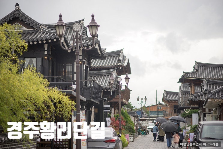  경주 애견 동반 여행 황리단길 버터북카페 내 돈 내산 후기