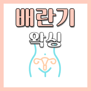  브라질리언 왁싱을 배란기에 받게 되면 다른 때 받는것보다 왁싱이 더 아픈 이유 - 마산 왁싱 마이뷰티