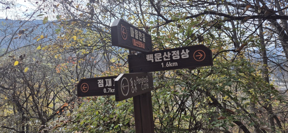 만지산 사진 6