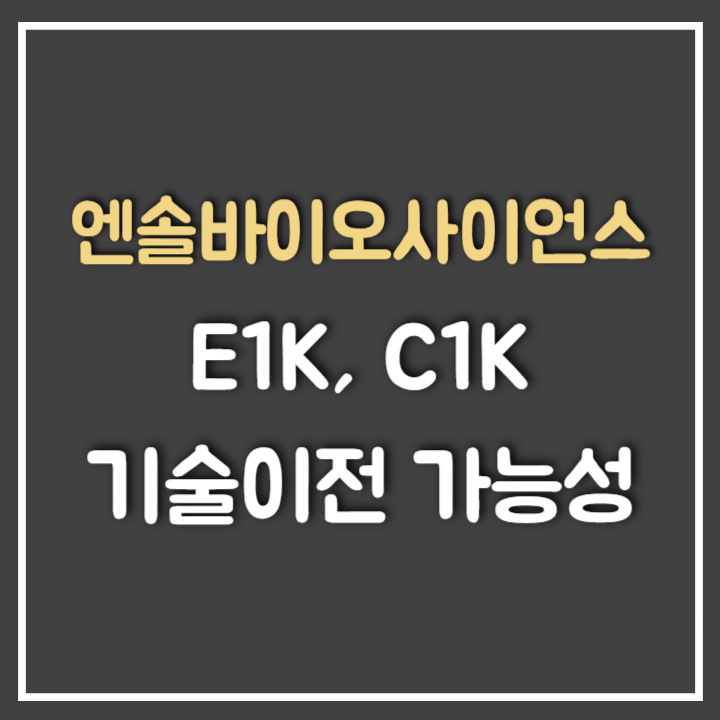  엔솔바이오사이언스 C1K 라이센스아웃 가능성은