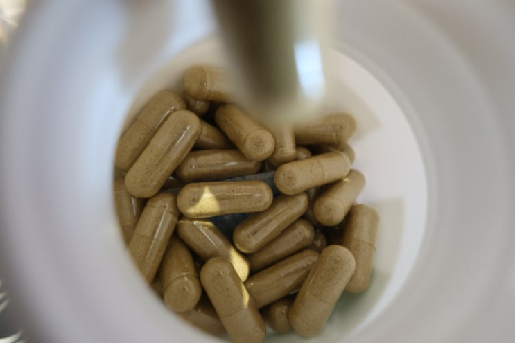  관절 걱정되는 부모님께 초록입홍합 7500mg! 아비브의 관절영양제 리뷰