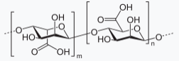  자연에서 얻은 건강 성분, 알긴산나트륨(Sodium Alginate)의 비밀