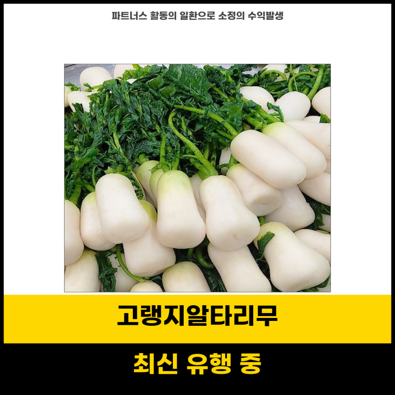 초핫템 강원도 고랭지 절임 알타리무 삼남매농산물 5kg 10kg 신선한 맛 즐기기