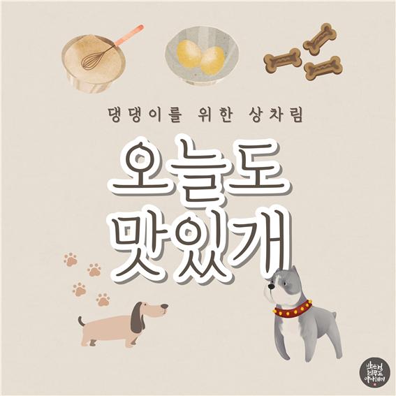  전주 강아지 펫푸드 취미반 모집(1기)