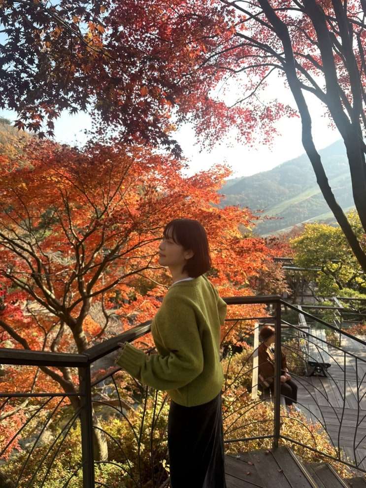  [화담숲 찐후기] 주차팁, 리프트 타고 모노레일까지! 내부 산책 루트, 내부 시설