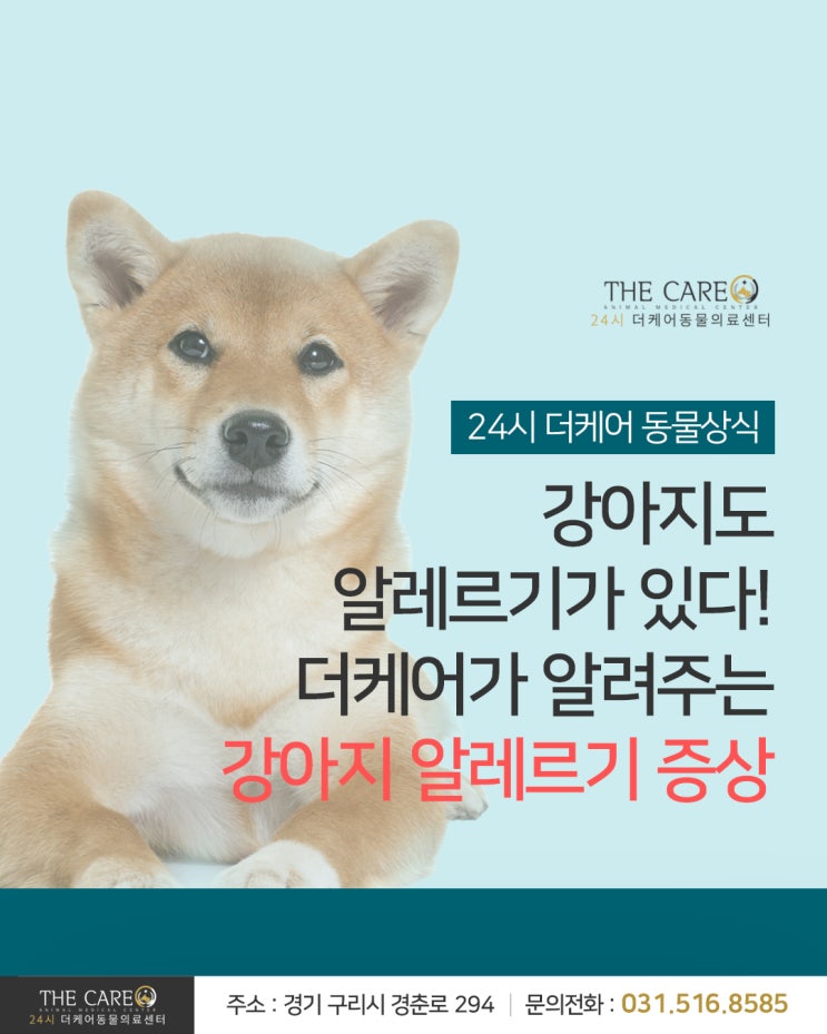  [24시더케어동물의료센터] 강아지도 알레르기가 있다! 더케어가 알려주는 강아지 알레르기 증상