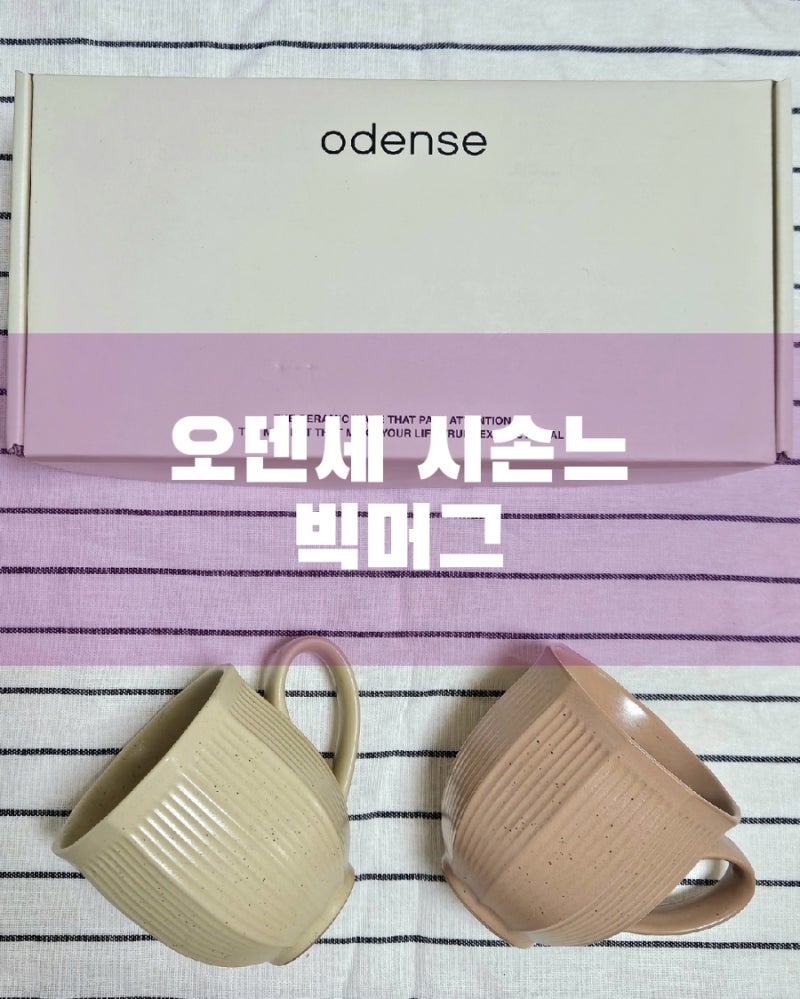 오덴세 시손느 빅머그 페어리 핑크와 키트리 버터 구매 후기 (신혼 그릇 추천, 기존 머그컵과....