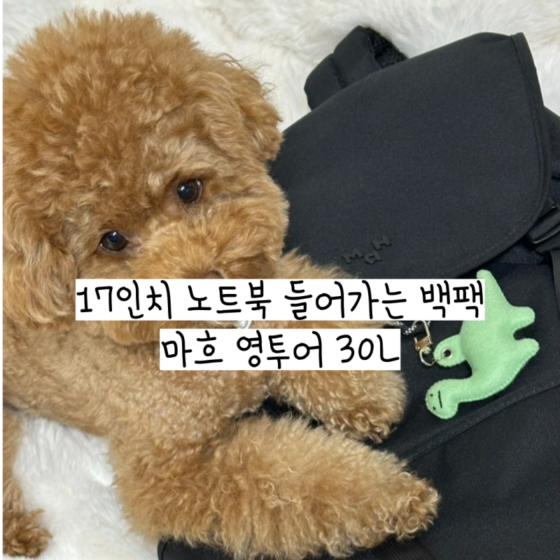 내돈내산 17인치 노트북 들어가는 백팩 추천 마흐 영투어 백팩 30L