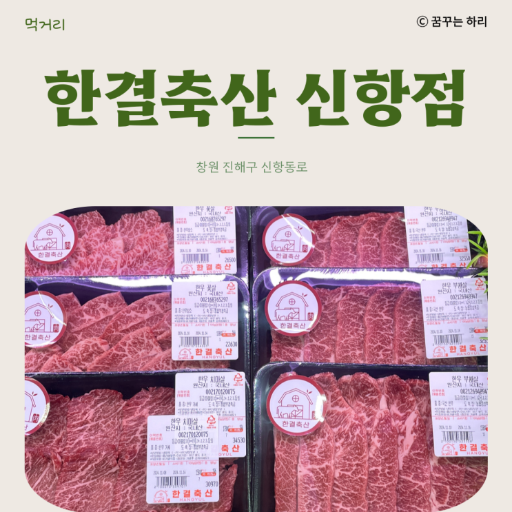  진해 용원 소고기 삼겹살 맛집 진해정육점 한결축산 신항점
