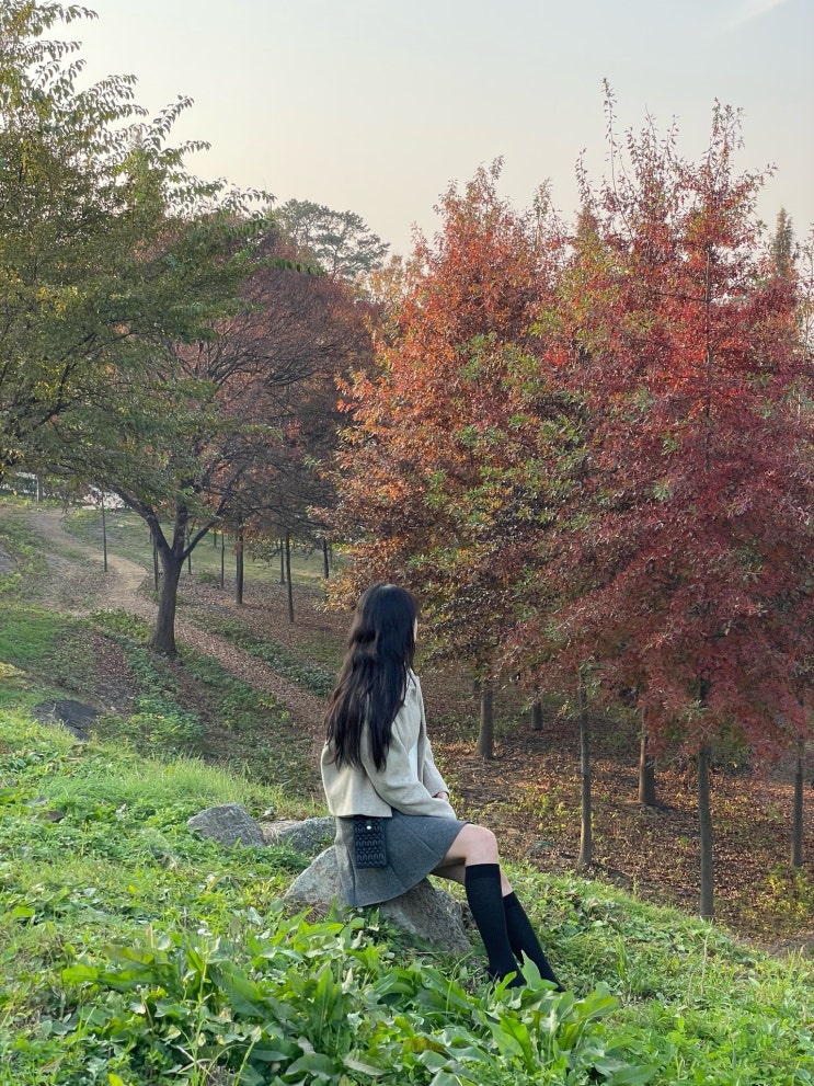  [평택가볼만한곳] 팽성 내리문화공원 핑크뮬리 구절초 산책 드라이브 나들이 코스