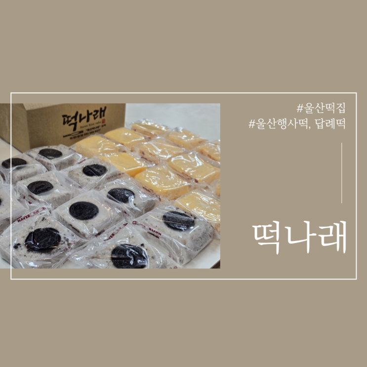  울산 떡집 떡나래 행사떡 답례떡 오레오설기 맛집