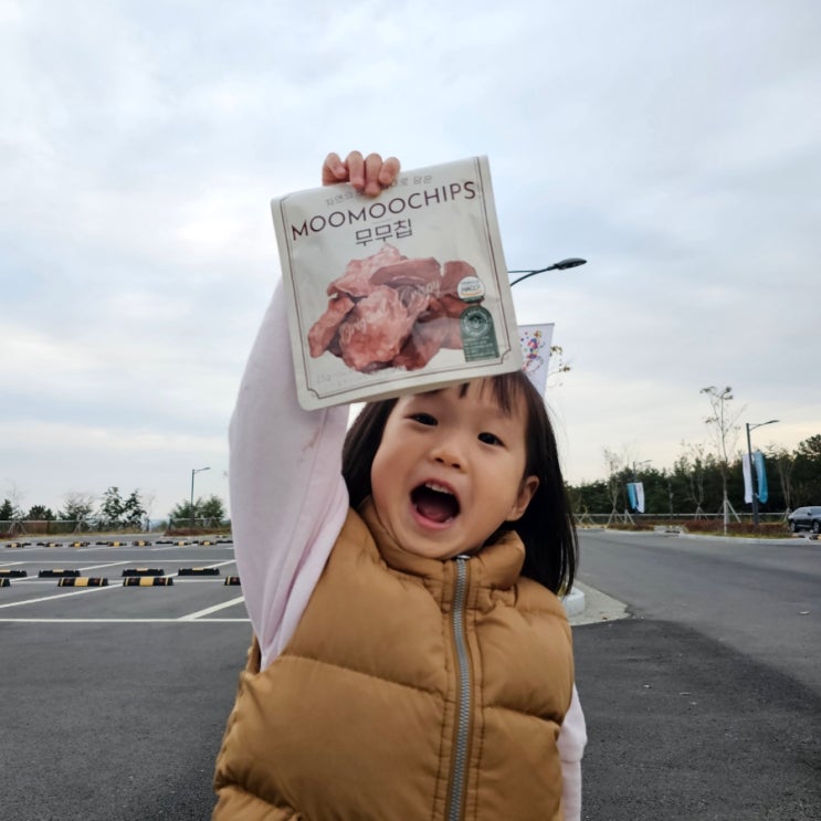  어린이육포 고기과자 무무칩 소고기칩