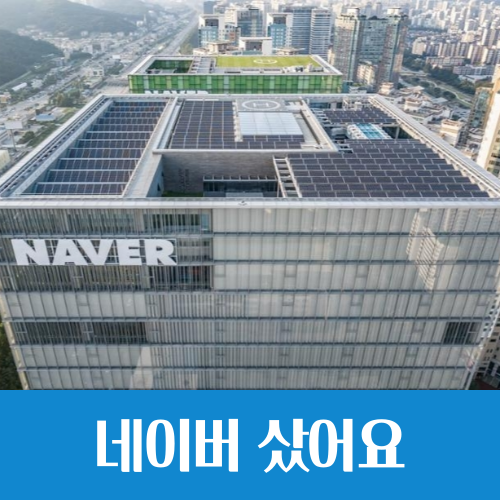  미주 대신 국주, 미국 주식 팔고 네이버 샀다