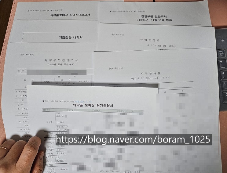  의약품도매상 허가 사례: 도매업무관리자 및 기업진단서 요건