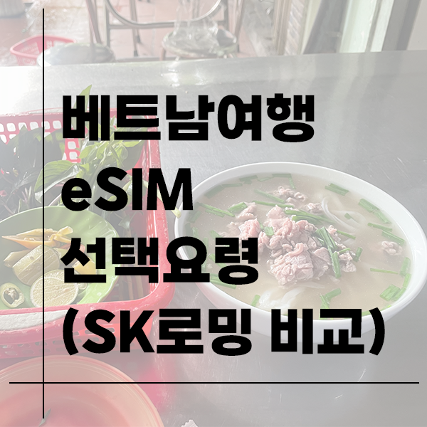 베트남여행 eSIM 이심 선택요령 (SK OnePass 로밍 가격비교)