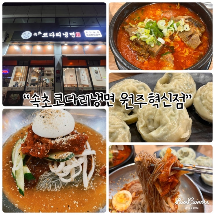  “속초코다리냉면 원주혁신점” 원주반곡동맛집으로 쫄깃 매콤달달한 코다리