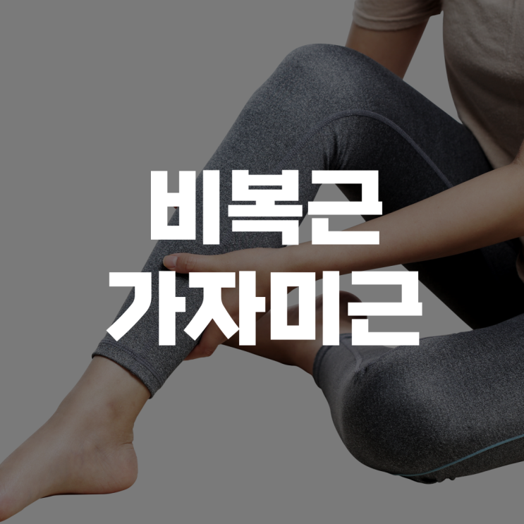 종아리 근육(비복근, 가자미근): 발목과 발 운동의 기반 종아리 근육(비복근, 가자미근): 발목과 발 운동의 기반