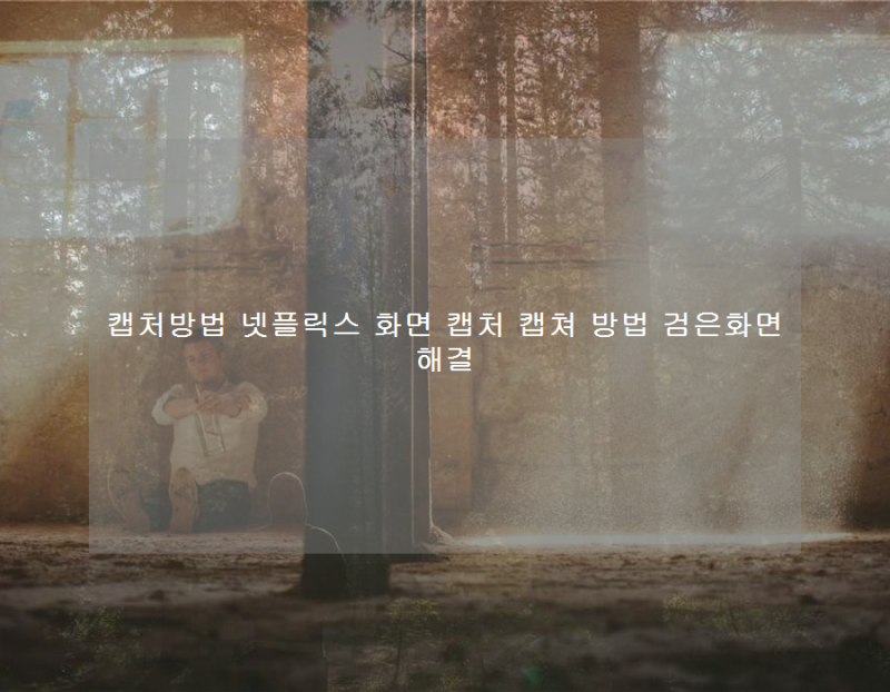 캡처방법 넷플릭스 화면 캡처 캡쳐 방법 검은화면 해결