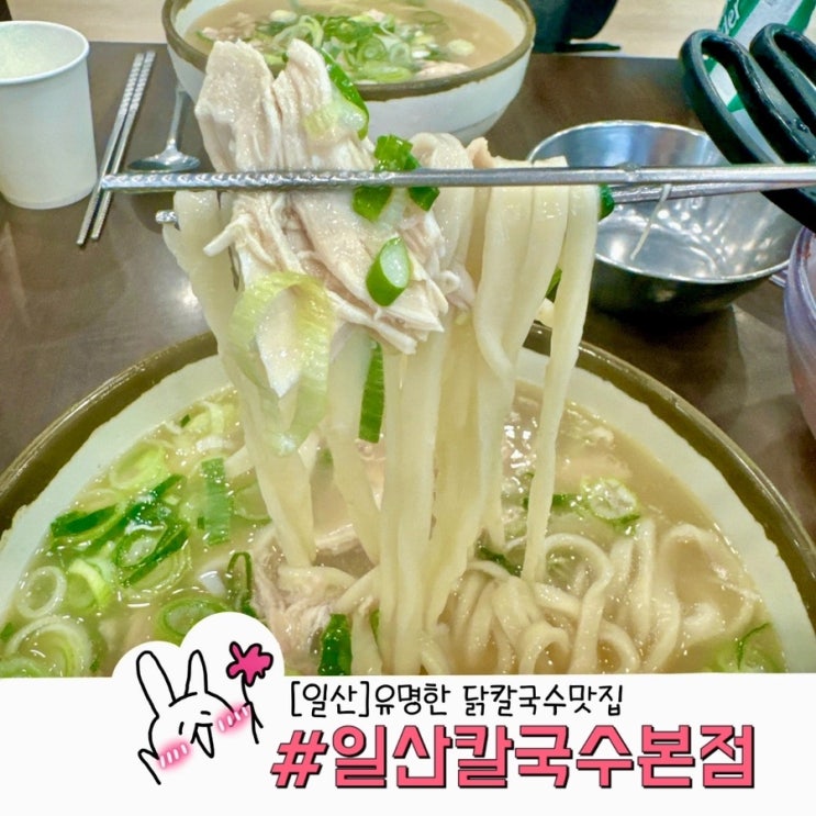  일산칼국수본점 단일 메뉴 닭칼국수 평일 웨이팅 후기