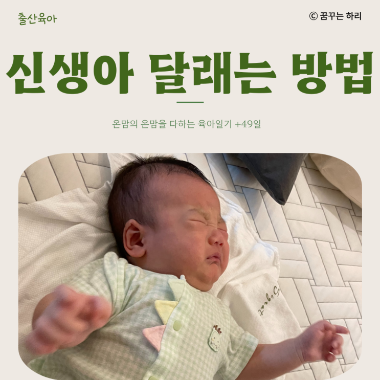  온맘의 온맘을 다하는 육아일기 D+49일 신생아 7주차 수유텀 수면시간 신생아달래기 신생아달래기방법 신생아5S
