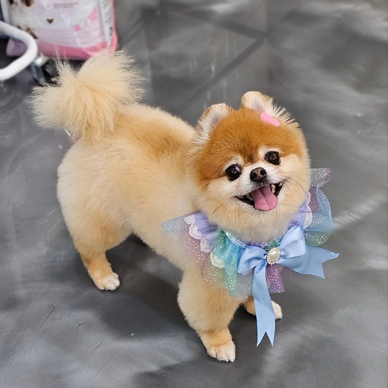 사진 6