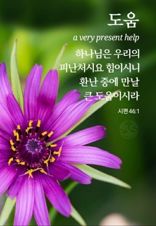 산수갑산 사진 5