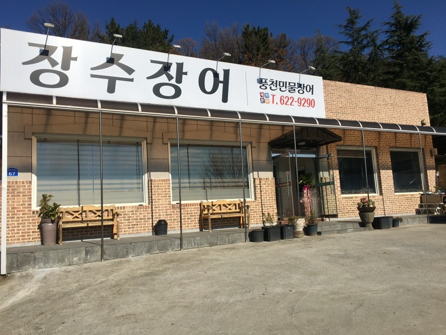 장수장어 사진 3