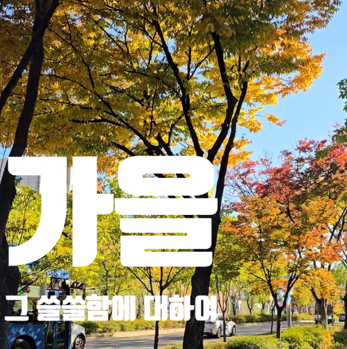  가을에 느끼는 쓸쓸함, 왜 그런 걸까?