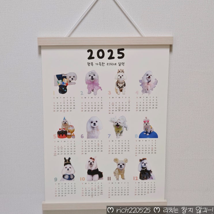  2025년 포토 달력 제작 강아지 굿즈 댕프링 후기