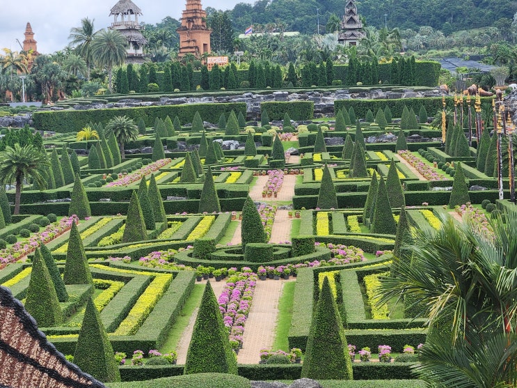  파타야 가볼만한곳 농눅빌리지 Nong Nooch Village 후기