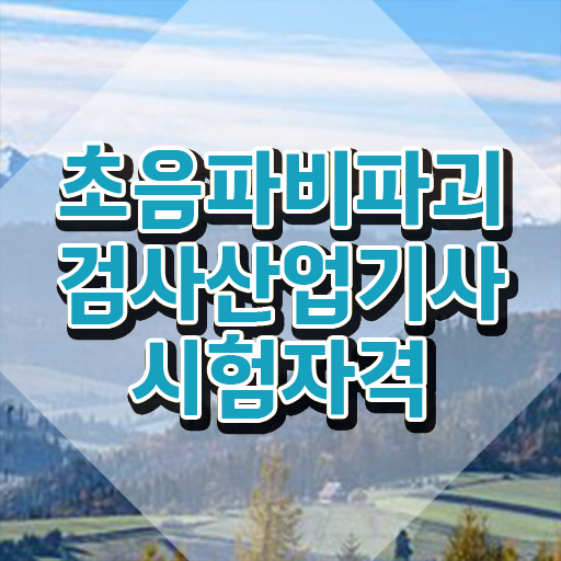  초음파비파괴검사산업기사 자격요건 집에서 온라인으로 빠르게 성공한 비법