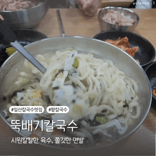  일산칼국수맛집 뚝배기칼국수