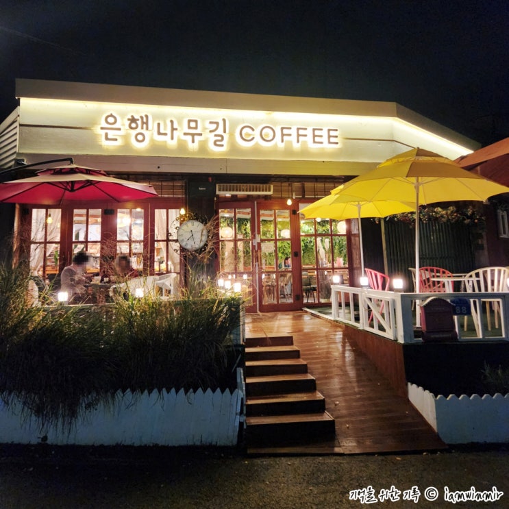 아산 은행나무길 크로플 은행나무길카페&타로 아산 은행나무길 크로플 은행나무길카페&타로