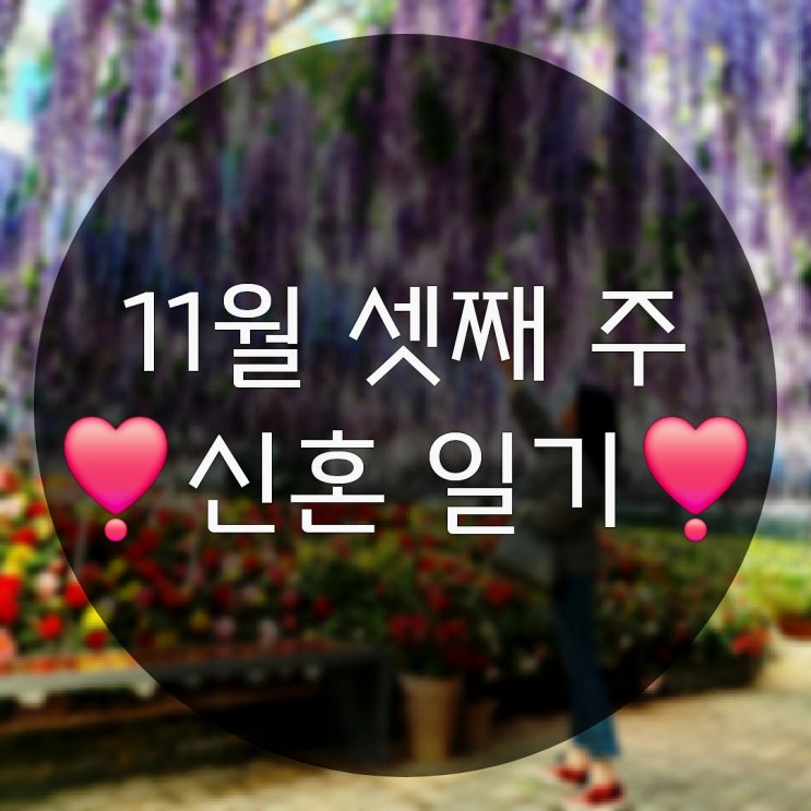  11월 셋째 주의 휴가기록(가평베고니아새정원 뉴발란스SD3405WH2)