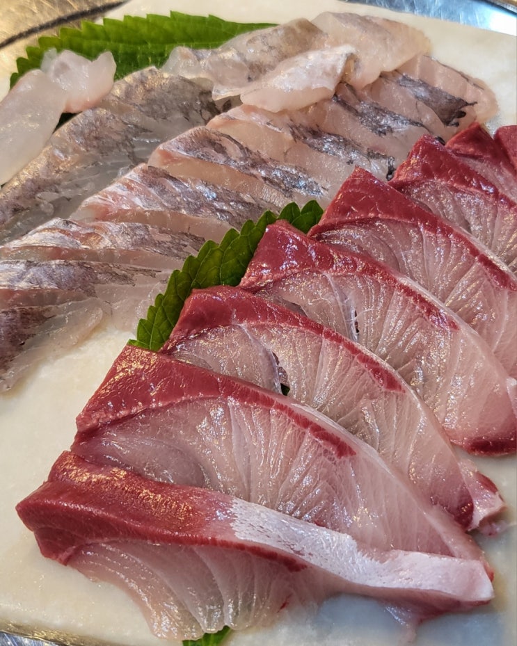  전주 대방어 맛집 가성비와 가심비를 다 잡은 서신동 횟집은 해성수산